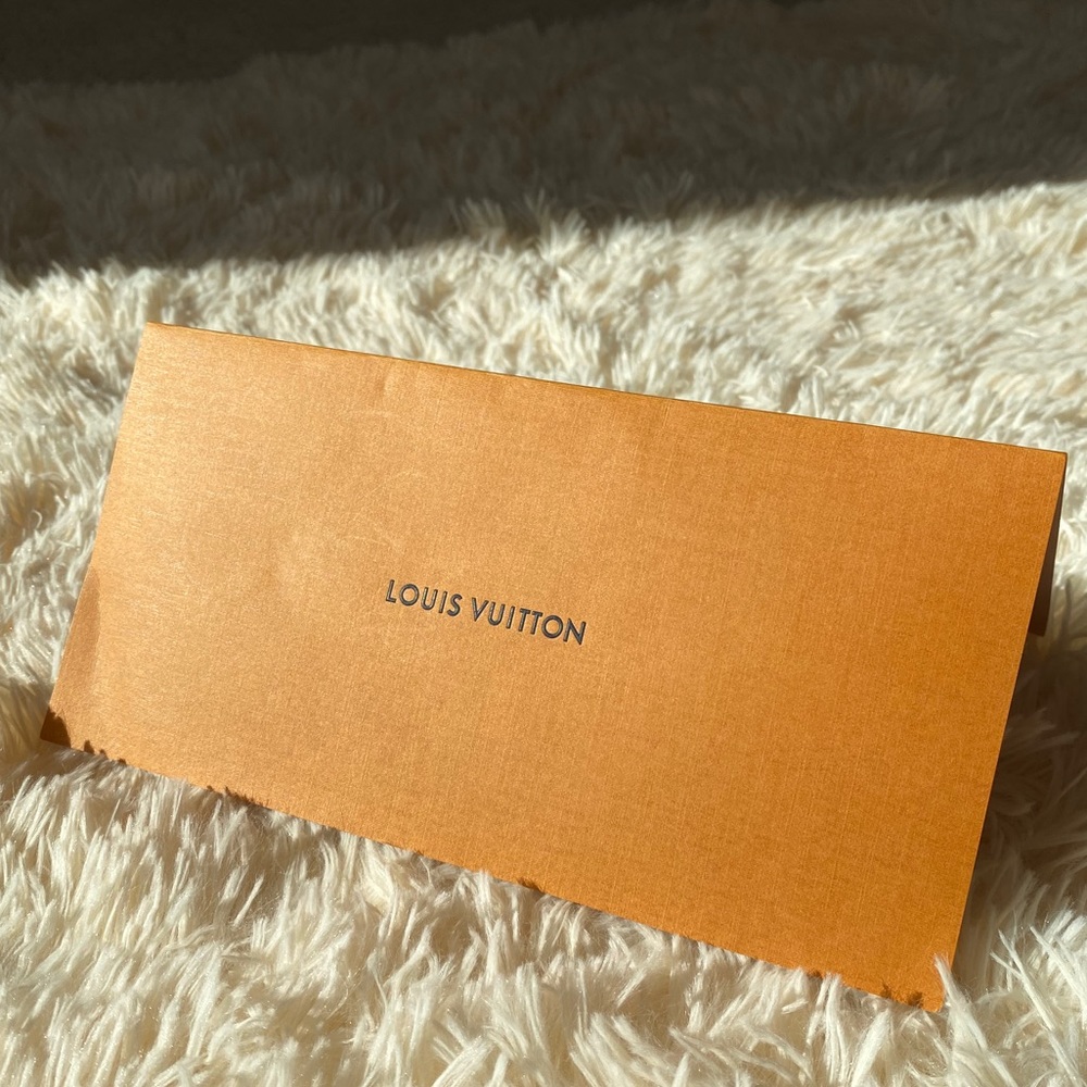 LOUIS VUITTON Envelope